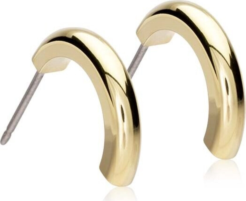 Golden Titanium Pendant Round Curved 15 mm