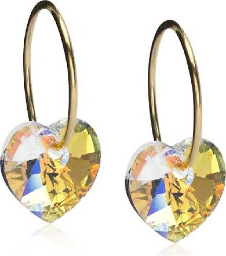 Golden Titanium Ear Ring 14 mm, Heart 10 mm, Rainbow Rai