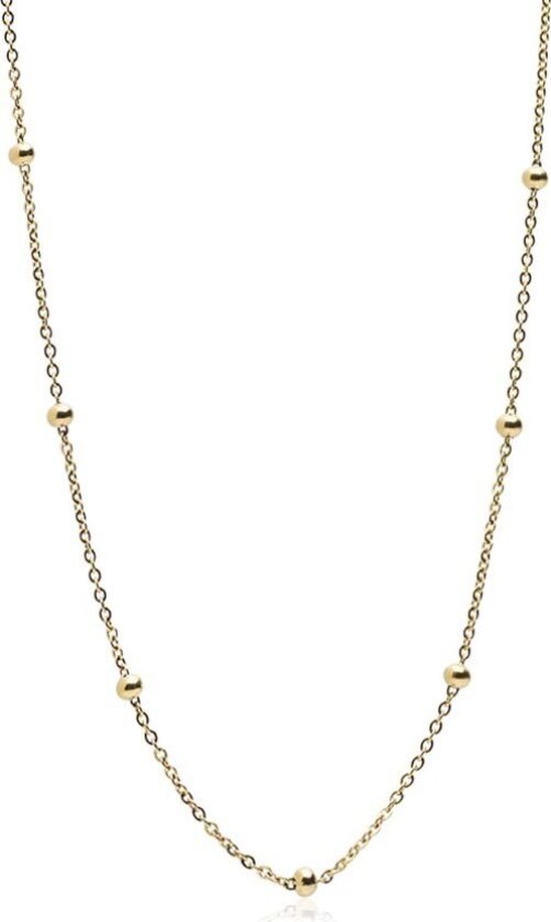Golden Coating Box Chain 48-52 mm