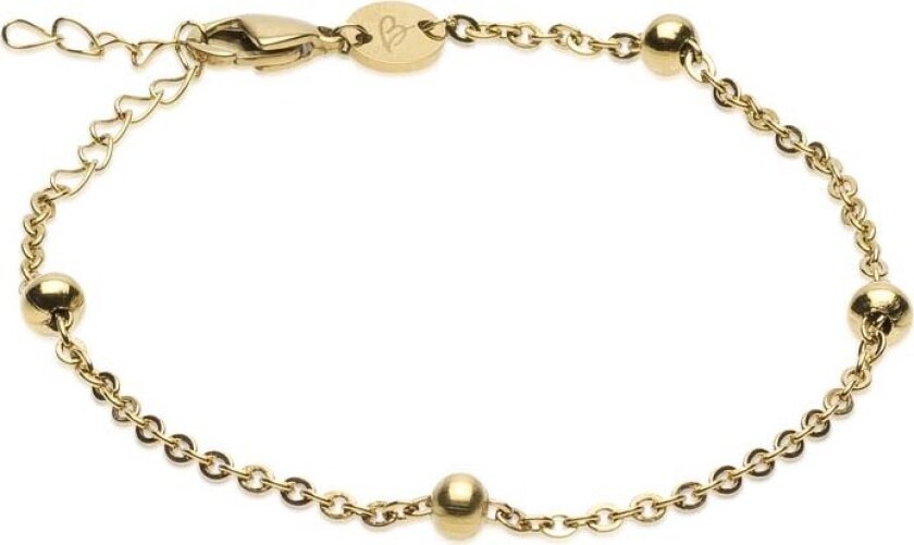 Golden Coating Box Chain 48-52 mm