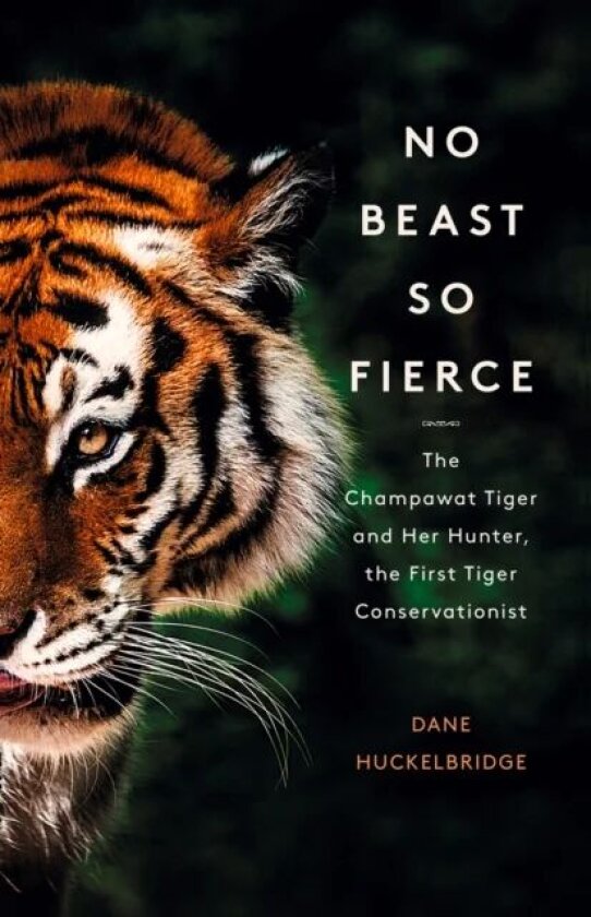 No Beast So Fierce av Dane Huckelbridge