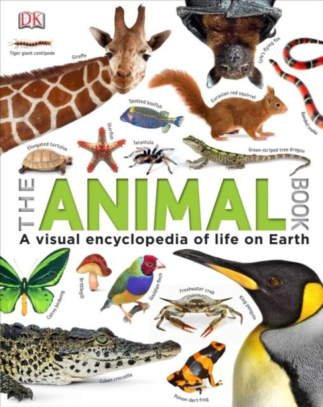 Our World in Pictures The Animal Book av DK