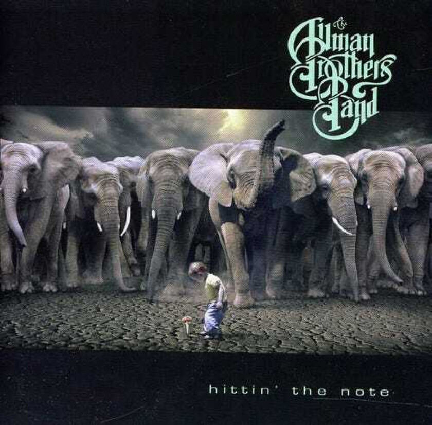 The Allman Brothers Band Hittin The Note CD