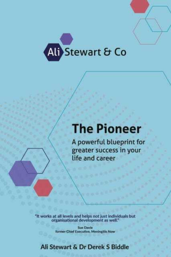 The Pioneer A powerful blueprint for greater success in your life and career