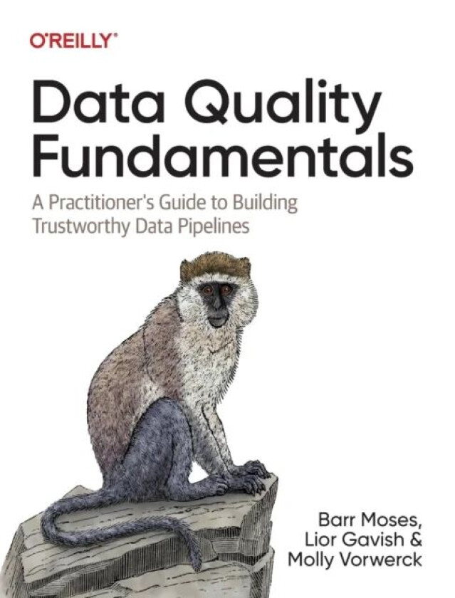 Data Quality Fundamentals av Barr Moses, Lior Gavish, Molly Vorwerck