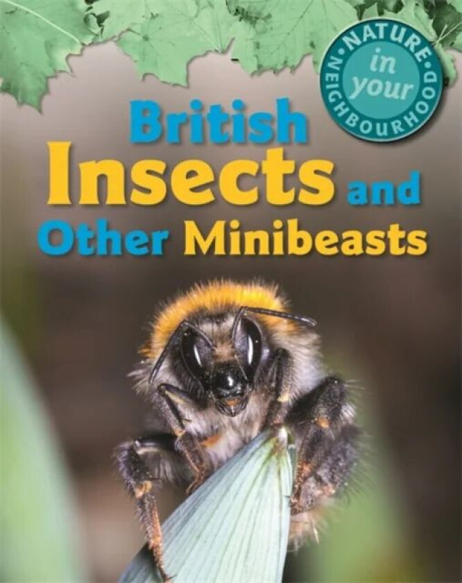 Nature in Your Neighbourhood: British Insects and other Minibeasts av Clare Collinson
