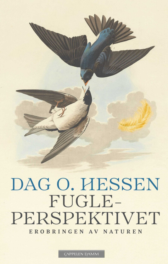 Bilde av Fugleperspektivet  erobringen av naturen