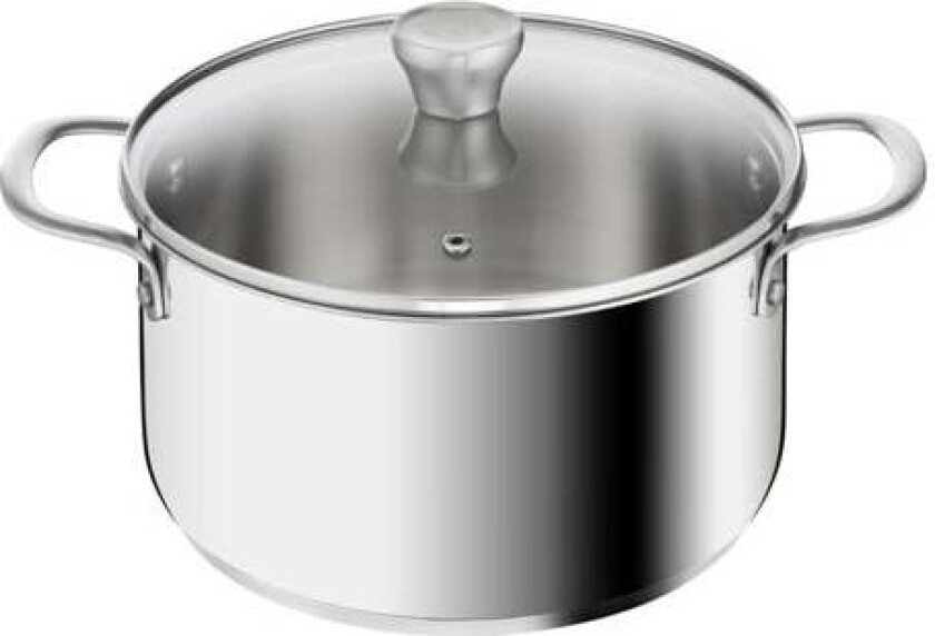 Recycle Stewpot 24 Cm W. Lid Stainless Steel Gryte