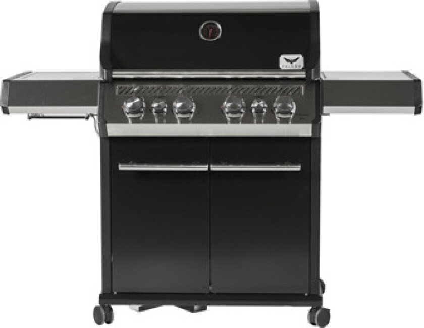 Phoenix B42 Gassgriller