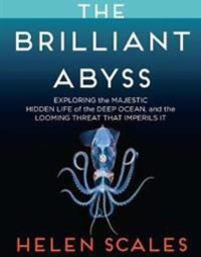 The Brilliant Abyss