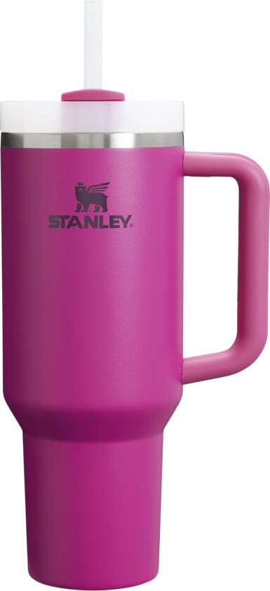 The Quencher H2. O Flowstate Tumbler - Rosa
