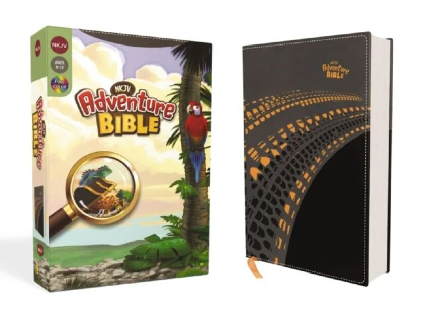 NKJV, Adventure Bible, Leathersoft, Gray, Full Color av Lawrence O. Richards