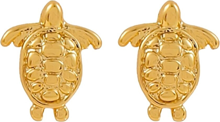Timi of Sweden Mini Turtle Stud Earrings Gold