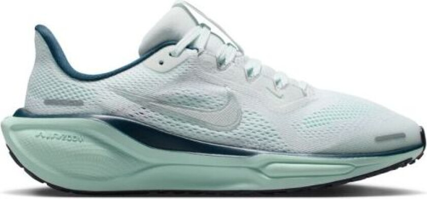Air Zoom Pegasus 41