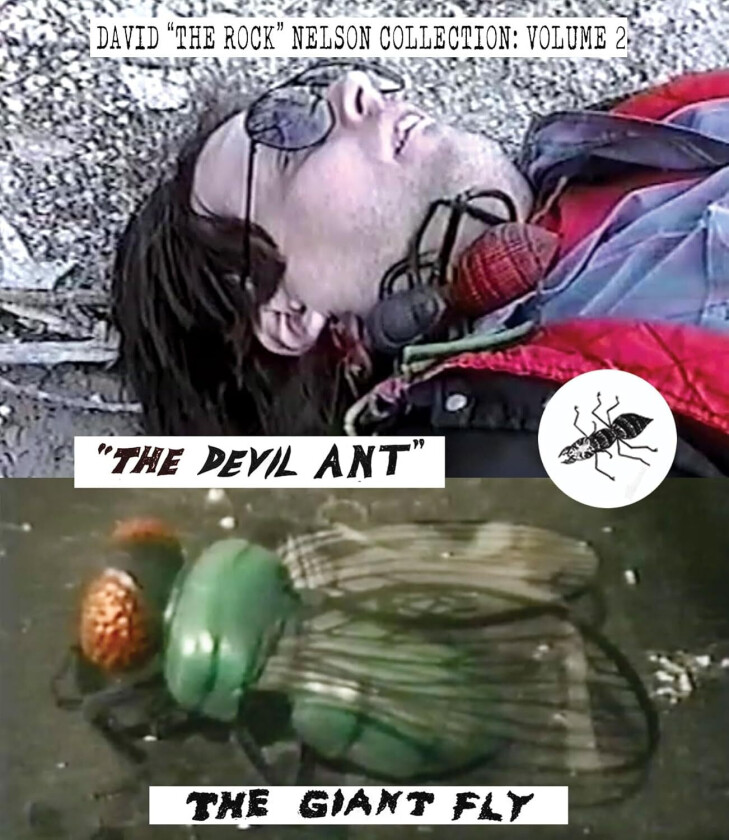 David The Rock Nelson Collection: Volume 2 Bluray