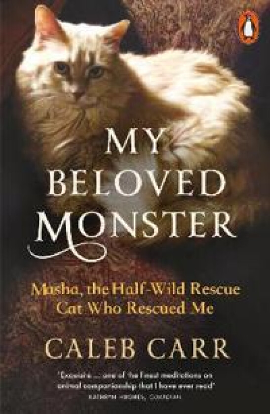 My Beloved Monster