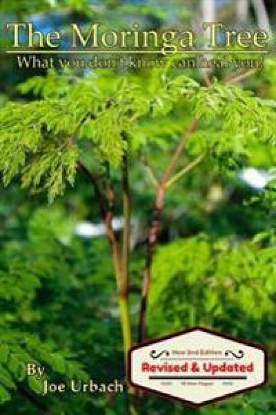 The Moringa Tree: What You Don't Know Can Heal You!