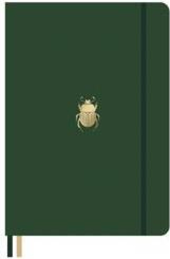 Dingbats* Pro B5 Beetle Notebook - Plain