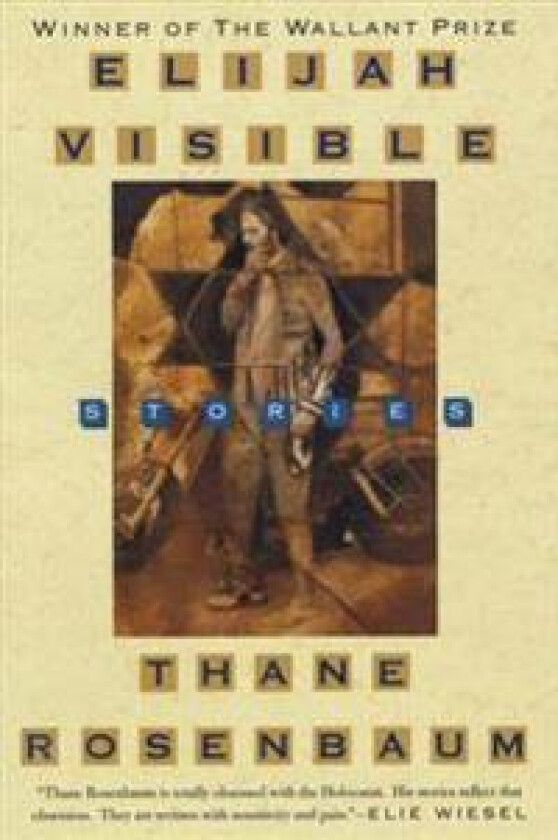 Elijah Visible: Stories