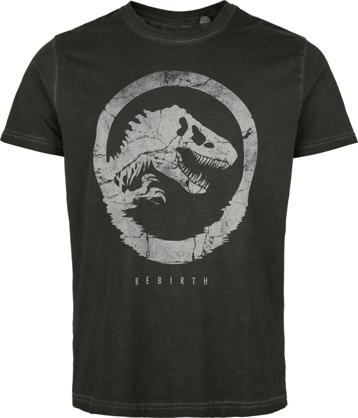T-skjorte - Jurassic World - Mirage - S til 4XL - Herrer - mørkegrå