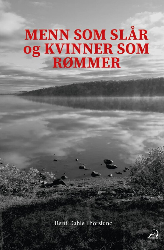 Menn som slår og kvinner som rømmer av Berit Dahle Thorslund
