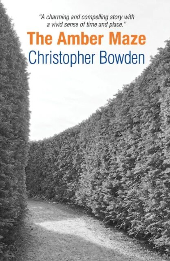 The Amber Maze av Christopher Bowden