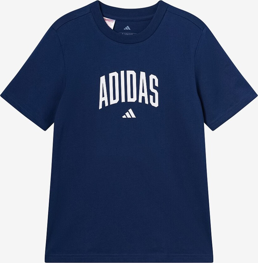 T-skjorte J Colleg T - Blå