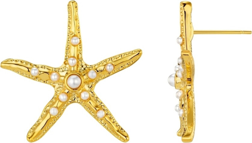 Statement Embellished Starfish Stud Earring