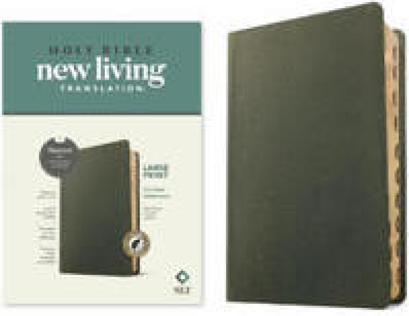 NLT Large Print Thinline Reference Bible, Filament Edition