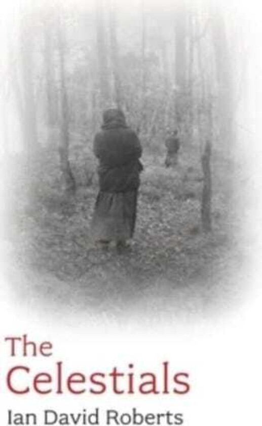 The Celestials Outcasts, Outlaws and Why Ned Kelly Yearned for China