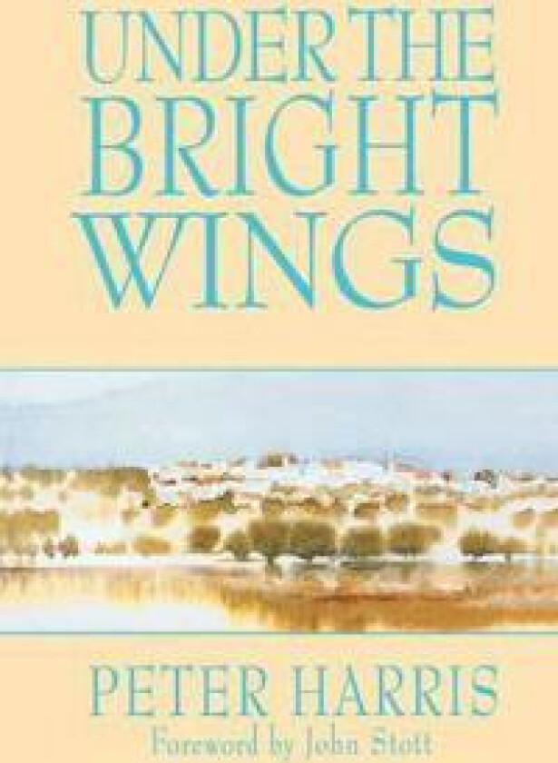 Under the Bright Wings