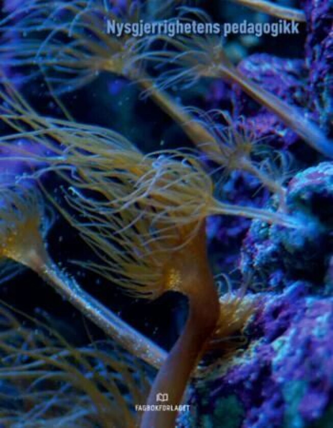 Nysgjerrighetens pedagogikk av Kjetil Steinsholt