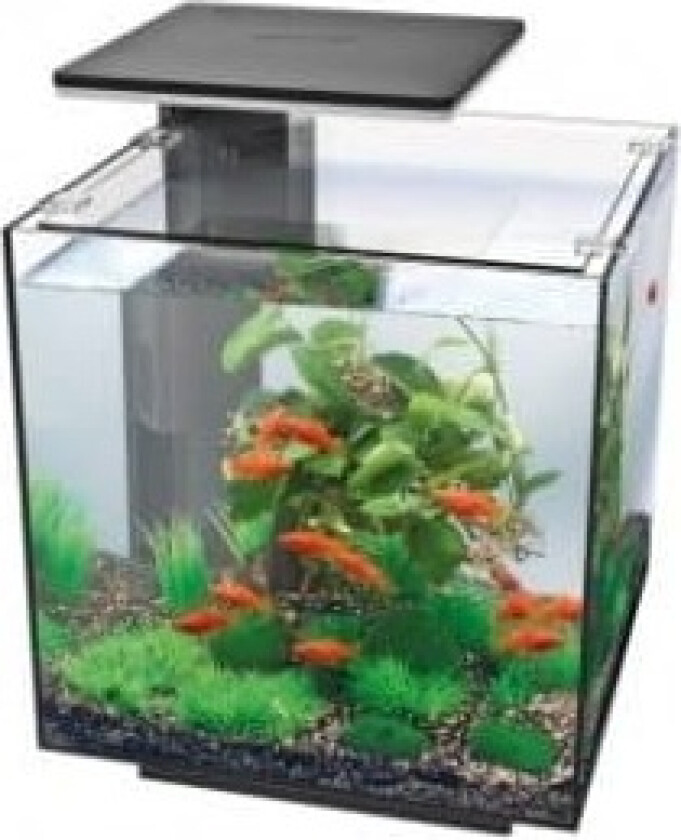 Bilde av Akvarium QB-30 LED 30L sort 320x320x320mm
