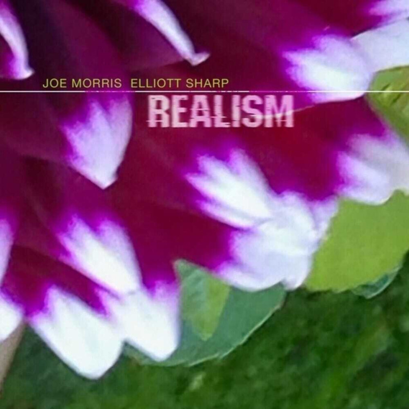 Joe Morris, Elliott Sharp Realism CD