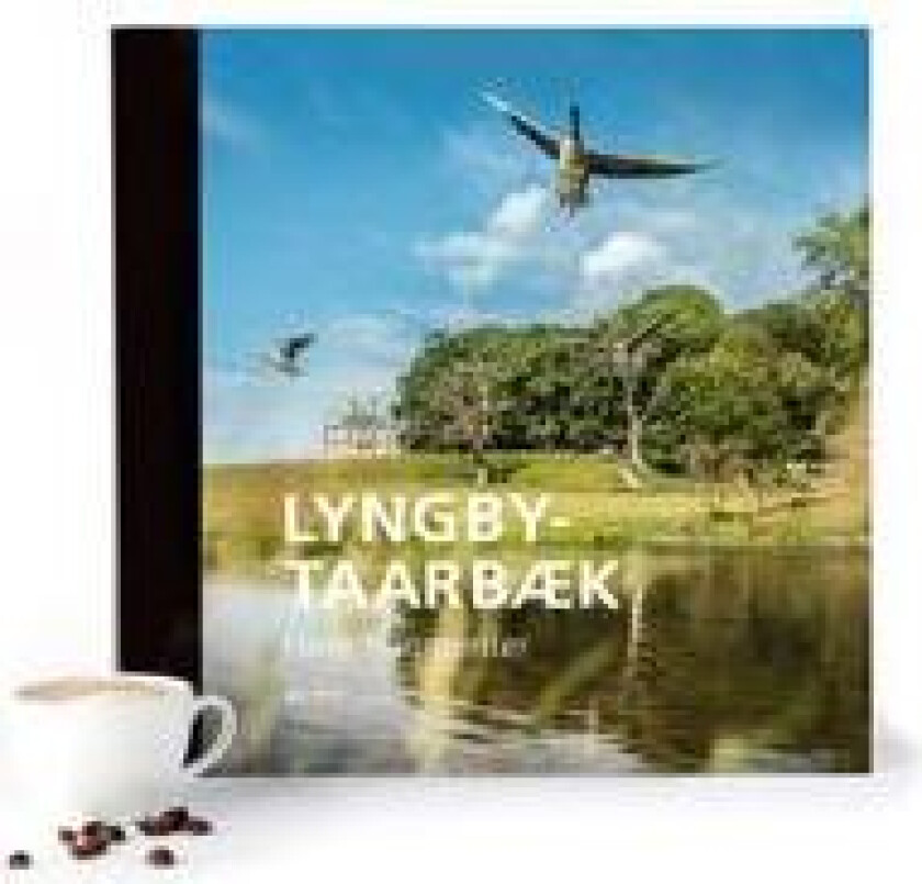 Lyngby-Taarbæk – Flere fragmenter