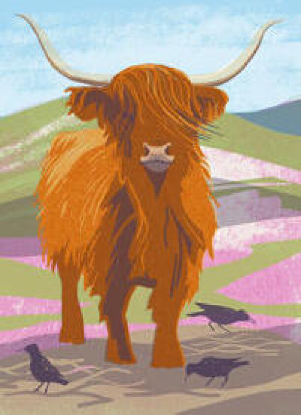 Nature Notebook: Highland Cow