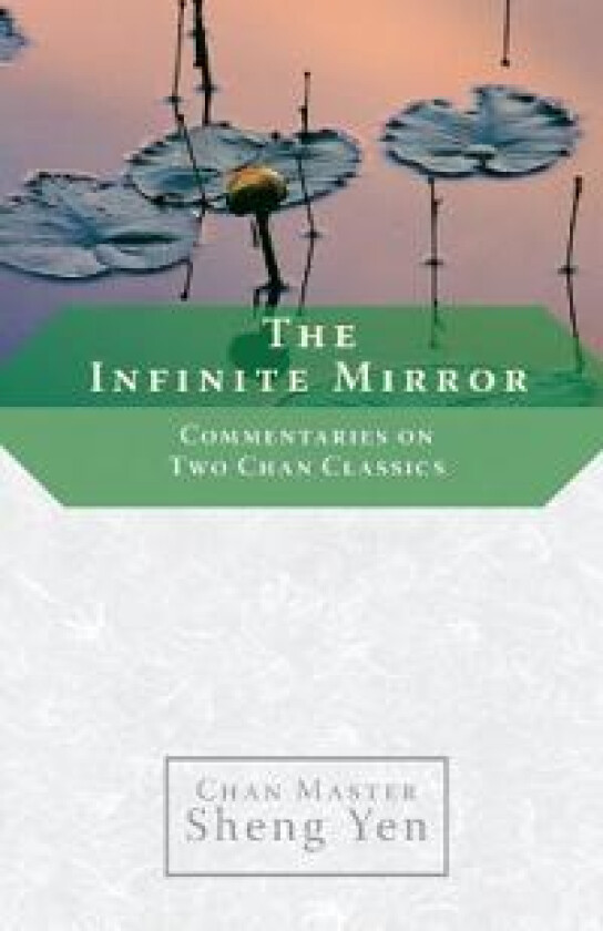 The Infinite Mirror