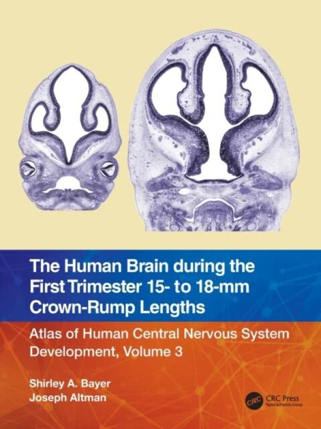 The Human Brain during the First Trimester 15- to 18-mm Crown-Rump Lengths av Shirley A. (Indianapolis Indiana USA) Bayer, Joseph (Indianapolis Indian
