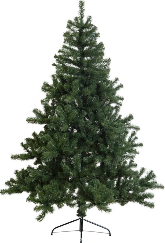 Juletre Star Trading New Quebec