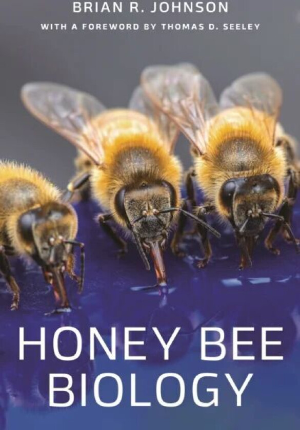 Honey Bee Biology av Brian R. Johnson