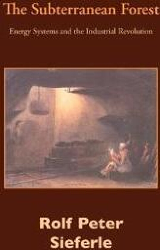 The Subterranean Forest