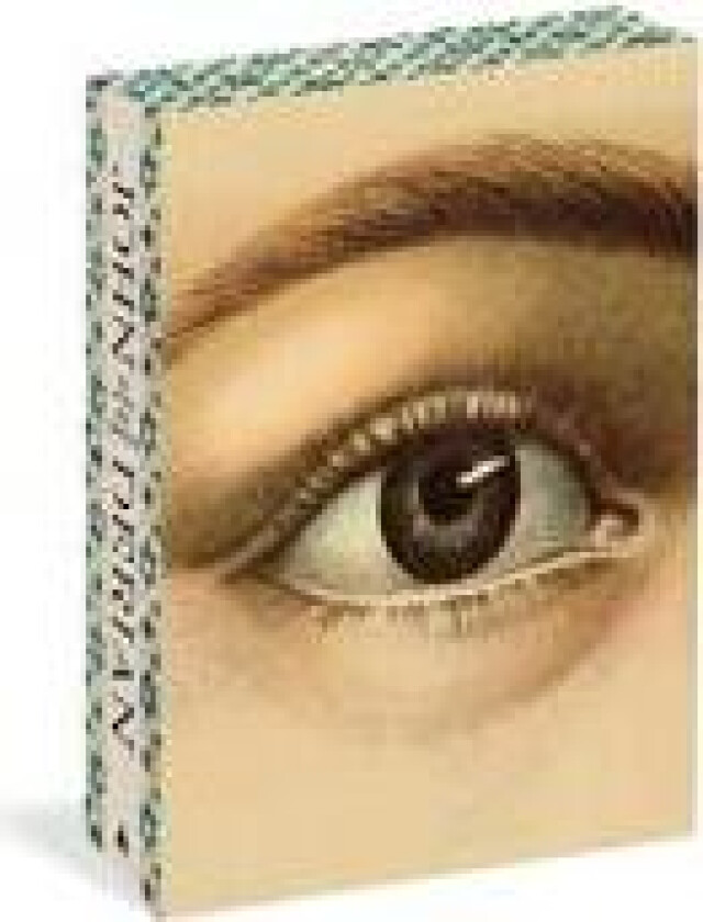 John Derian: The Picture Book Collection