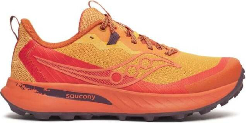 Peregrine 15