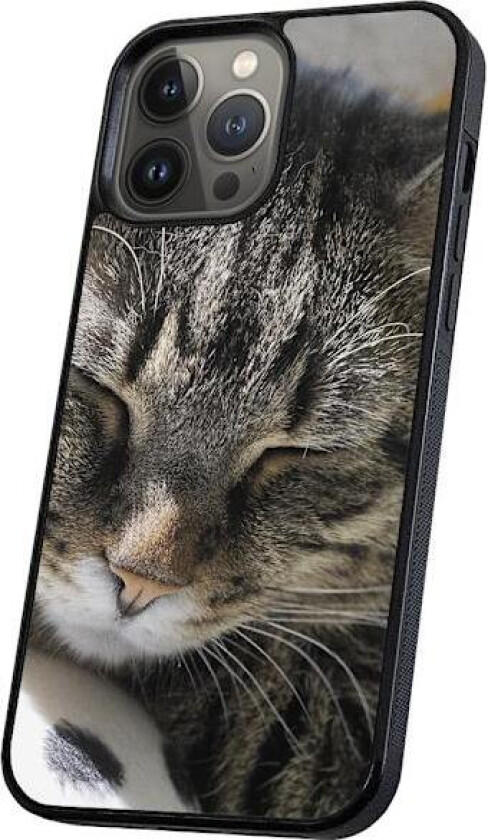 iPhone 16 Pro Max - Deksel/Mobildeksel Sovende Katt