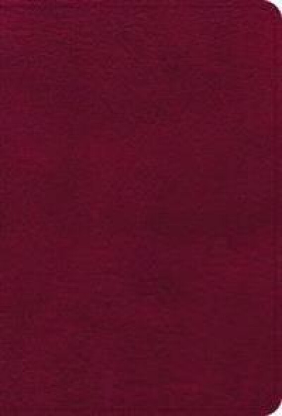 NASB Large Print Compact Reference Bible, Burgundy