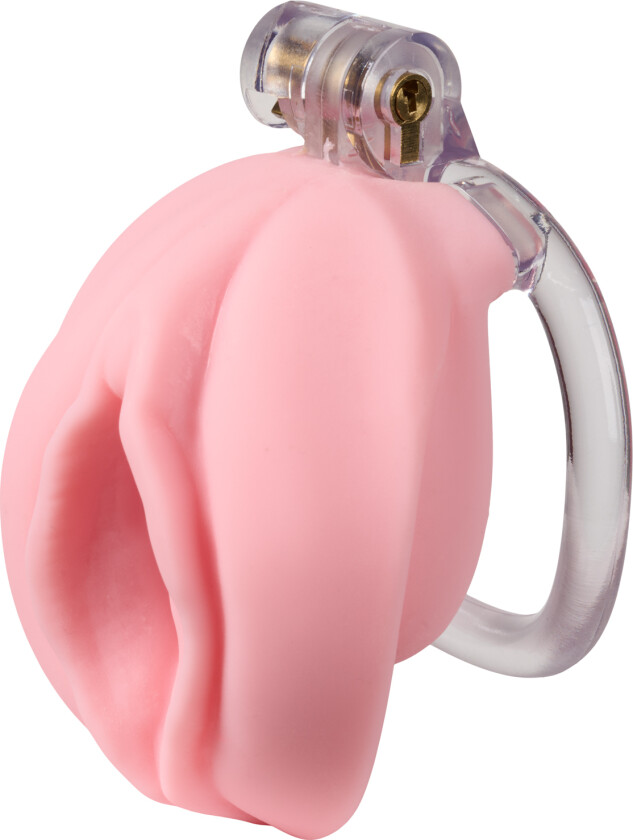 Pussyfyer Penisbur - Lyserosa