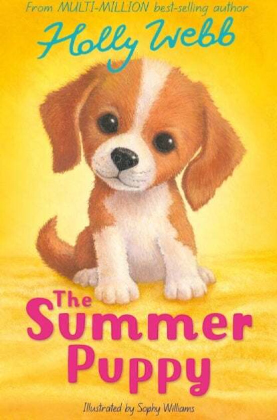 The Summer Puppy av Holly Webb