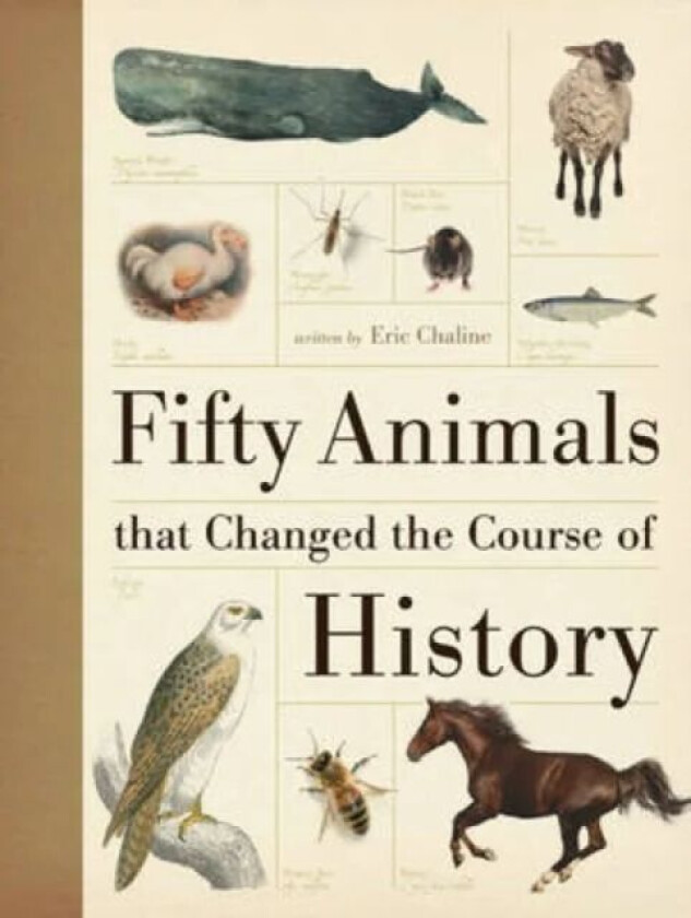 Fifty Animals That Changed the Course of History av Eric Chaline