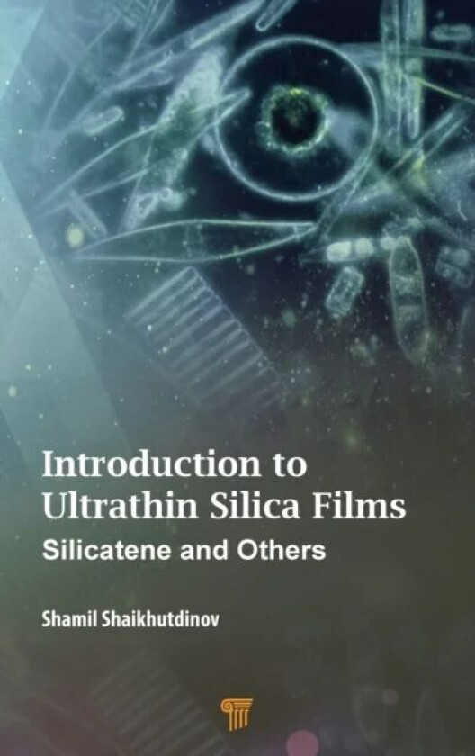 Introduction to Ultrathin Silica Films av Shamil (Fritz-Haber Institute Germany) Shaikhutdinov