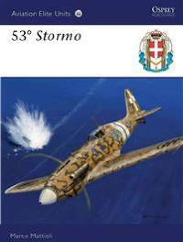 53° Stormo